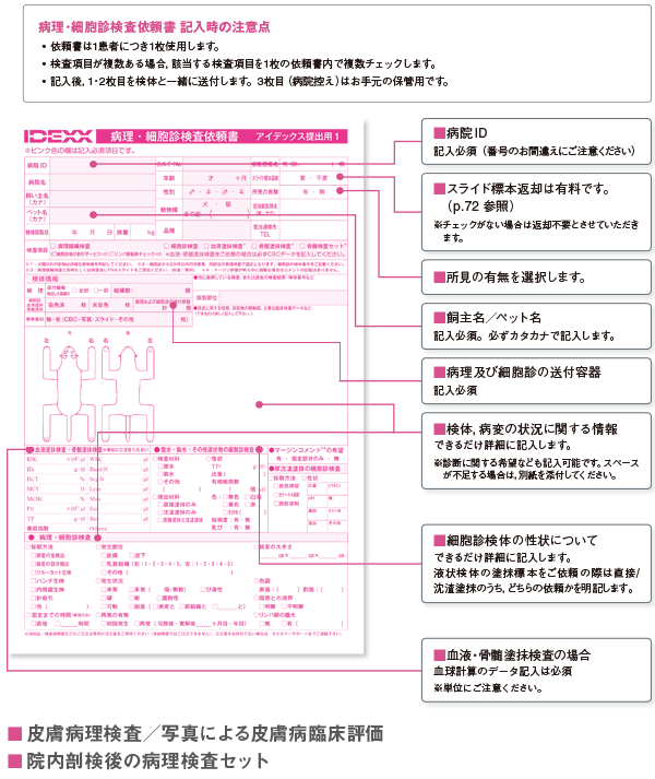 【PC用】2022年9月切り替え_病理・細胞診検査依頼書