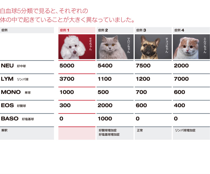 白血球5分類で見ると、それぞれの体の中で起きていることが大きく異なっていました。