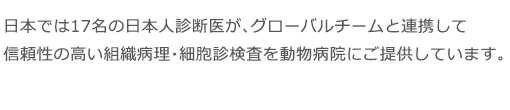 日本では17名の日本人診断医が、グローバルチームと連携して信頼性の高い組織病理・細胞診検査を動物病院にご提供しています。