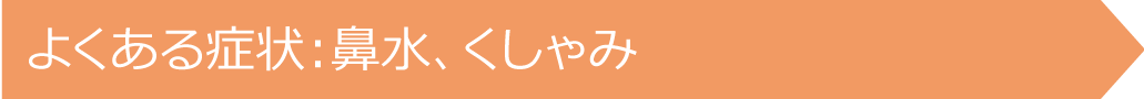 よくある症状：鼻水、くしゃみ