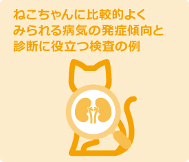 ねこちゃんに比較的よくみられる病気の発症傾向と診断に役立つ検査の例