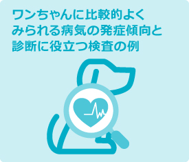 ワンちゃんに比較的よくみられる病気の発症傾向と診断に役立つ検査の例