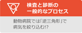 検査と診断の一般的なプロセス