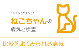 クイックリンクねこちゃんの病気と検査