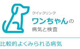 クイックリンクワンちゃんの病気と検査