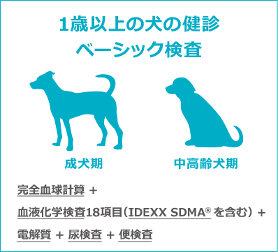 1歳以上の犬の健診ベーシック検査